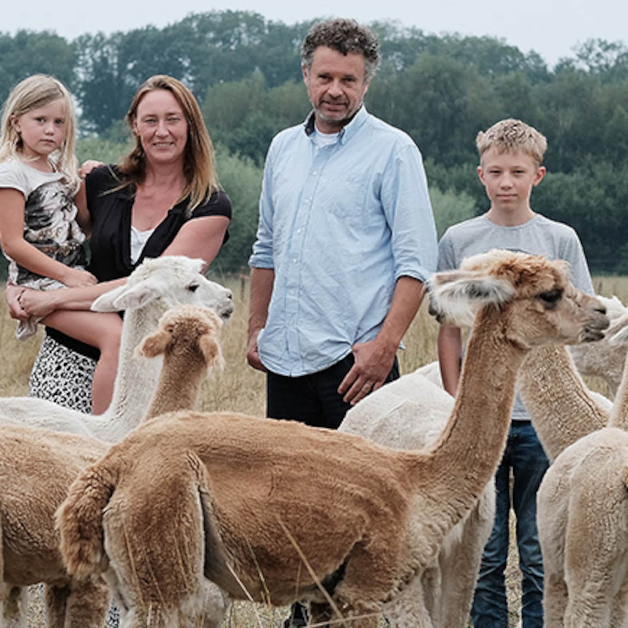 van elandenpark in zweden naar alpacawei in de achterhoek