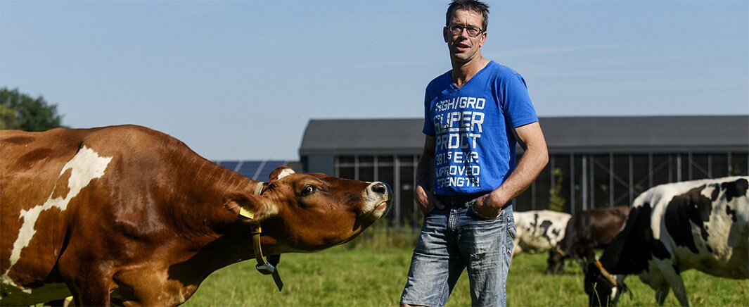 beeld deondernemer