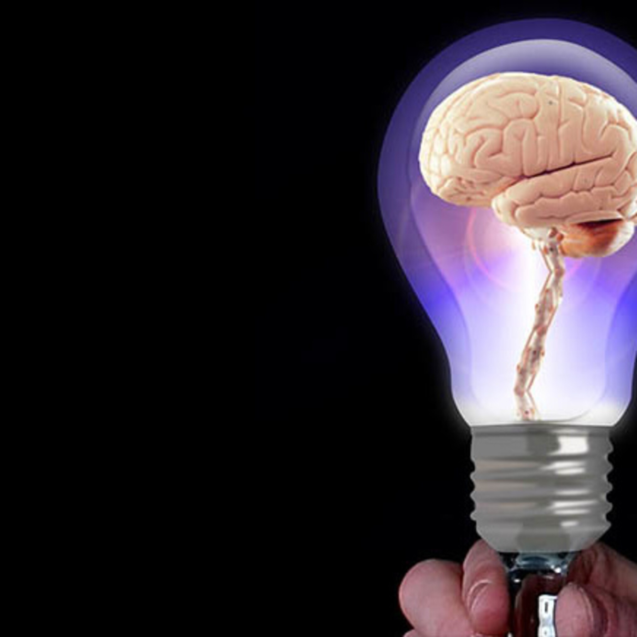 drie drentse bedrijven strijden om de titel vitaaltse bedrijf