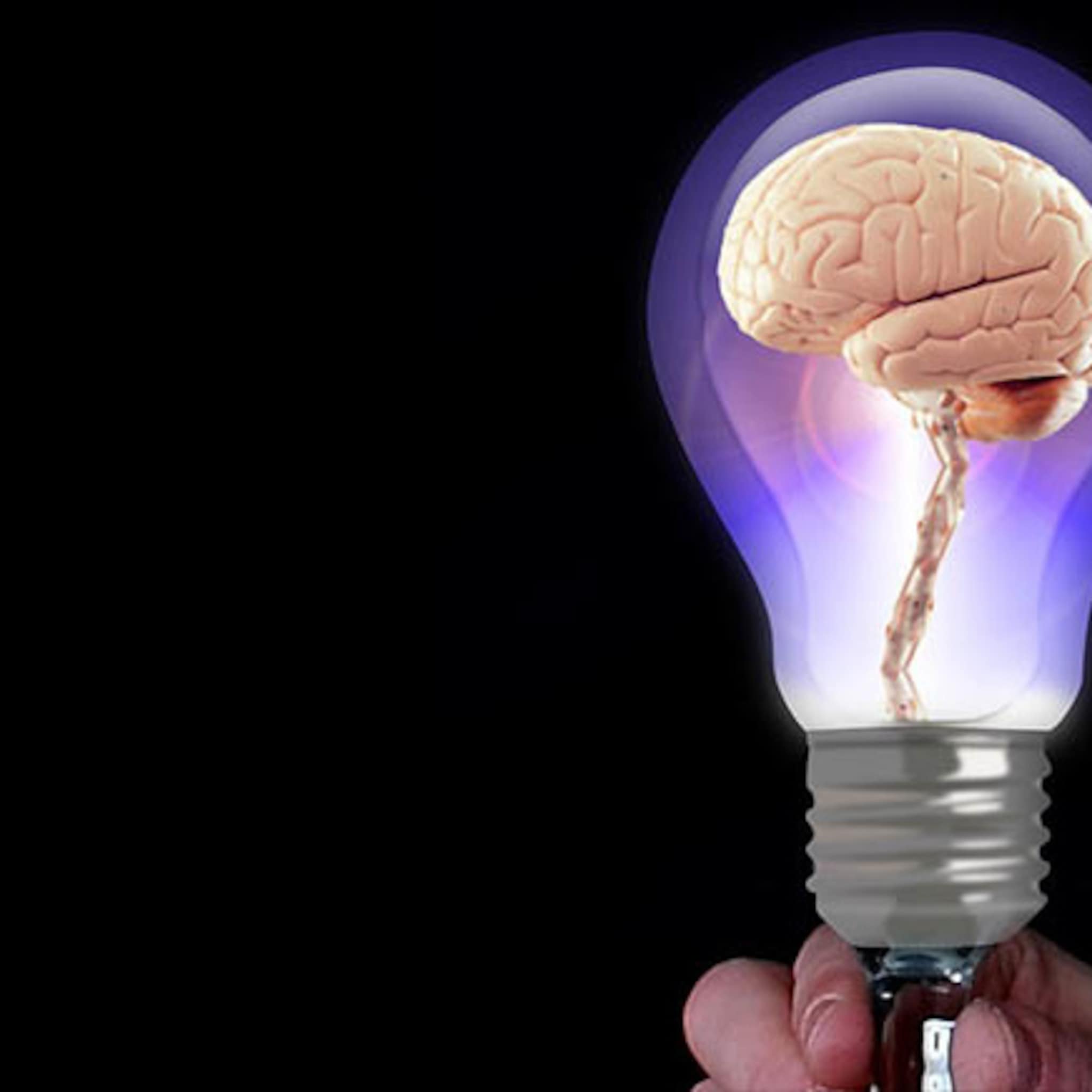 wat is het vitaalste bedrijf van zeeland