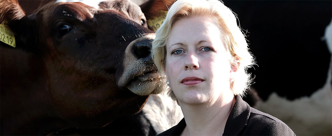 beeld deondernemer