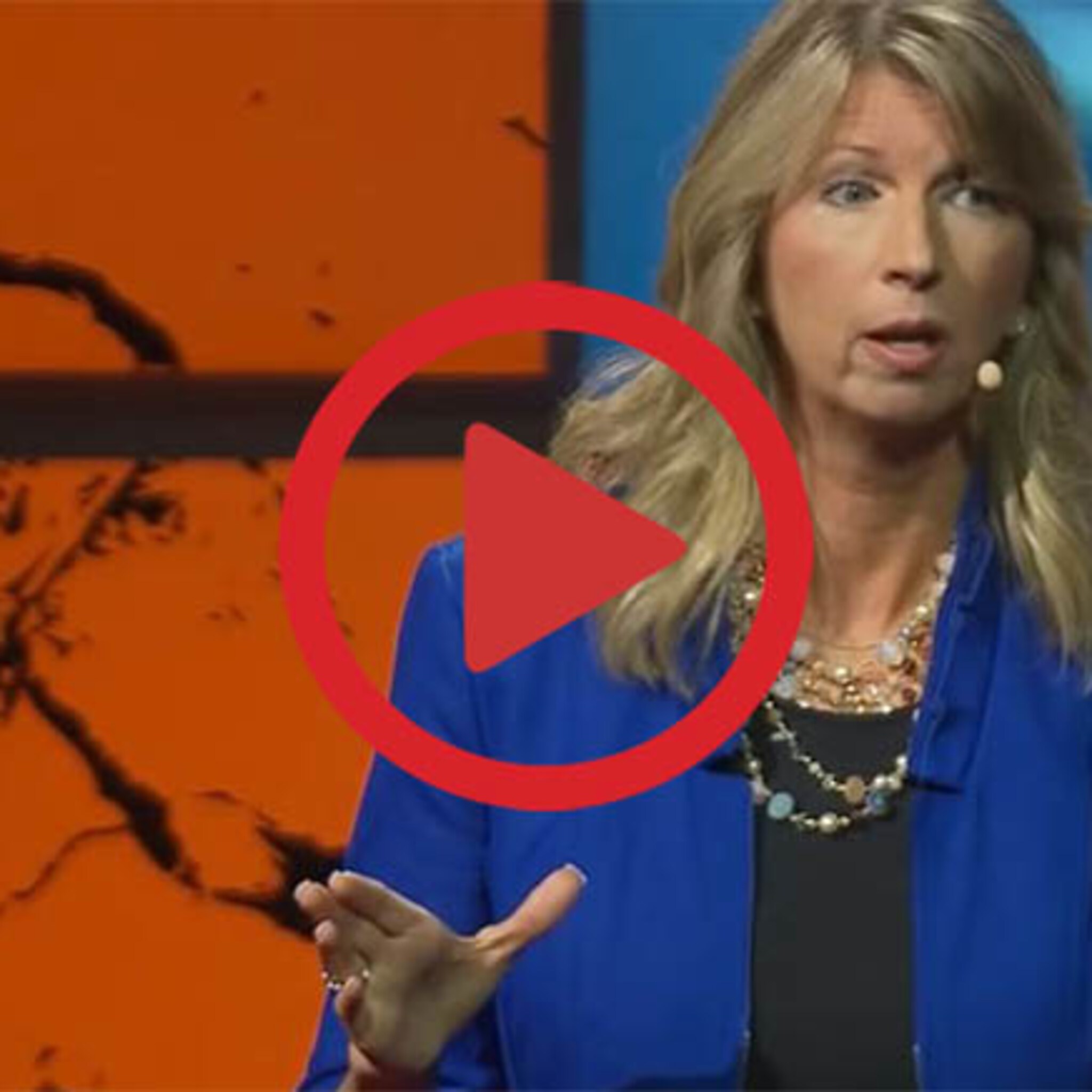 de beste sollicitant maar niet het beste cv