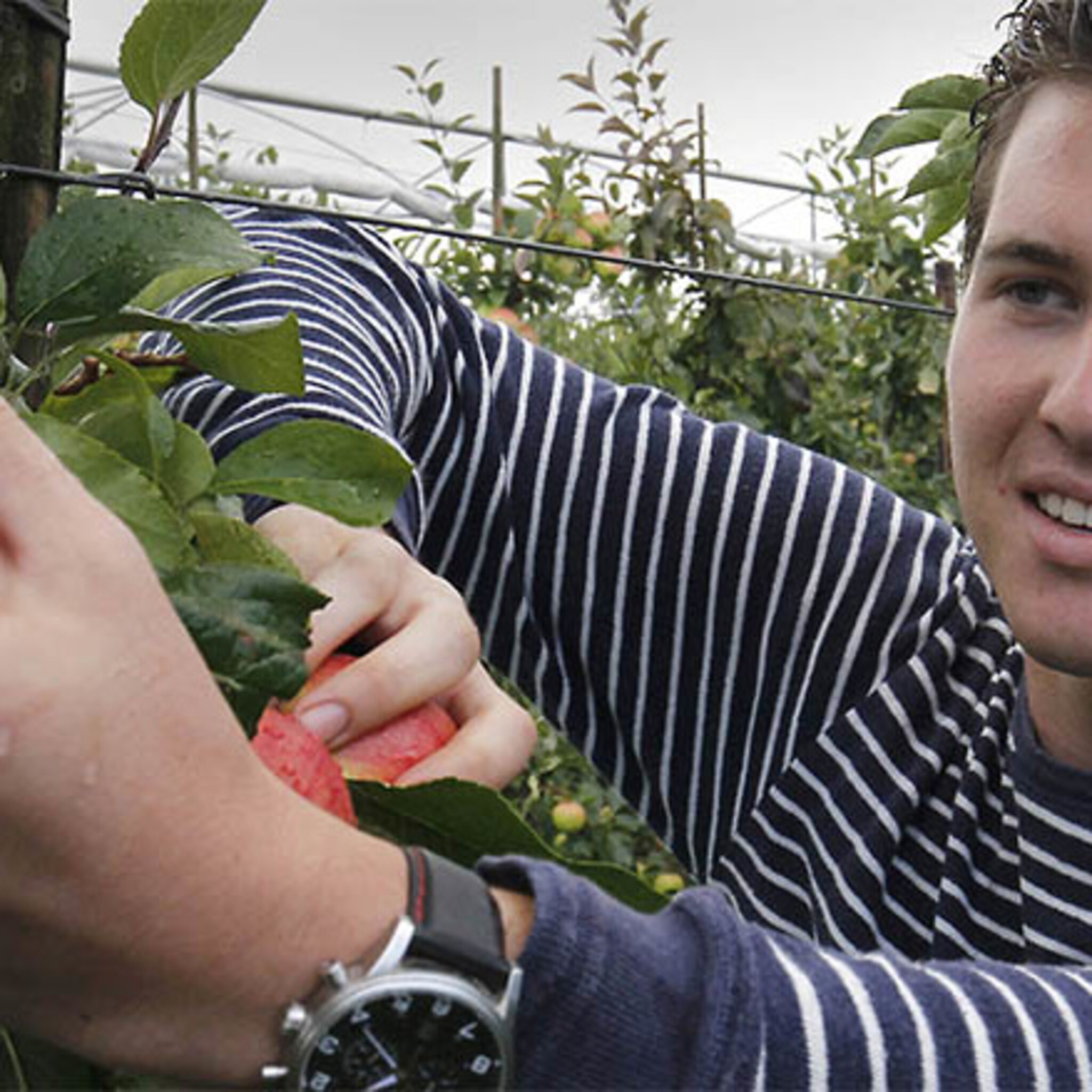 nijmeegse bedrijven hebben werk genoeg voor jongeren