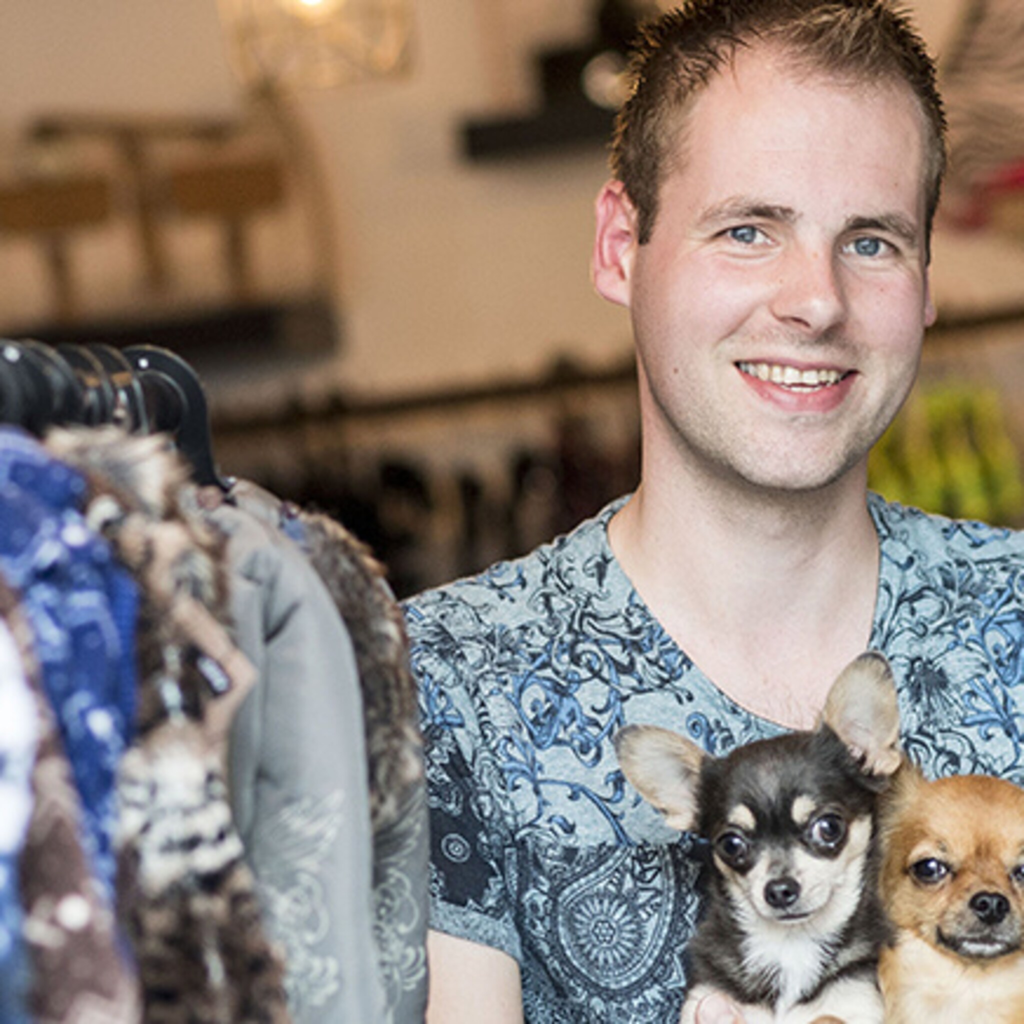 uit de hand gelopen chihuahuahobby wordt onderneming