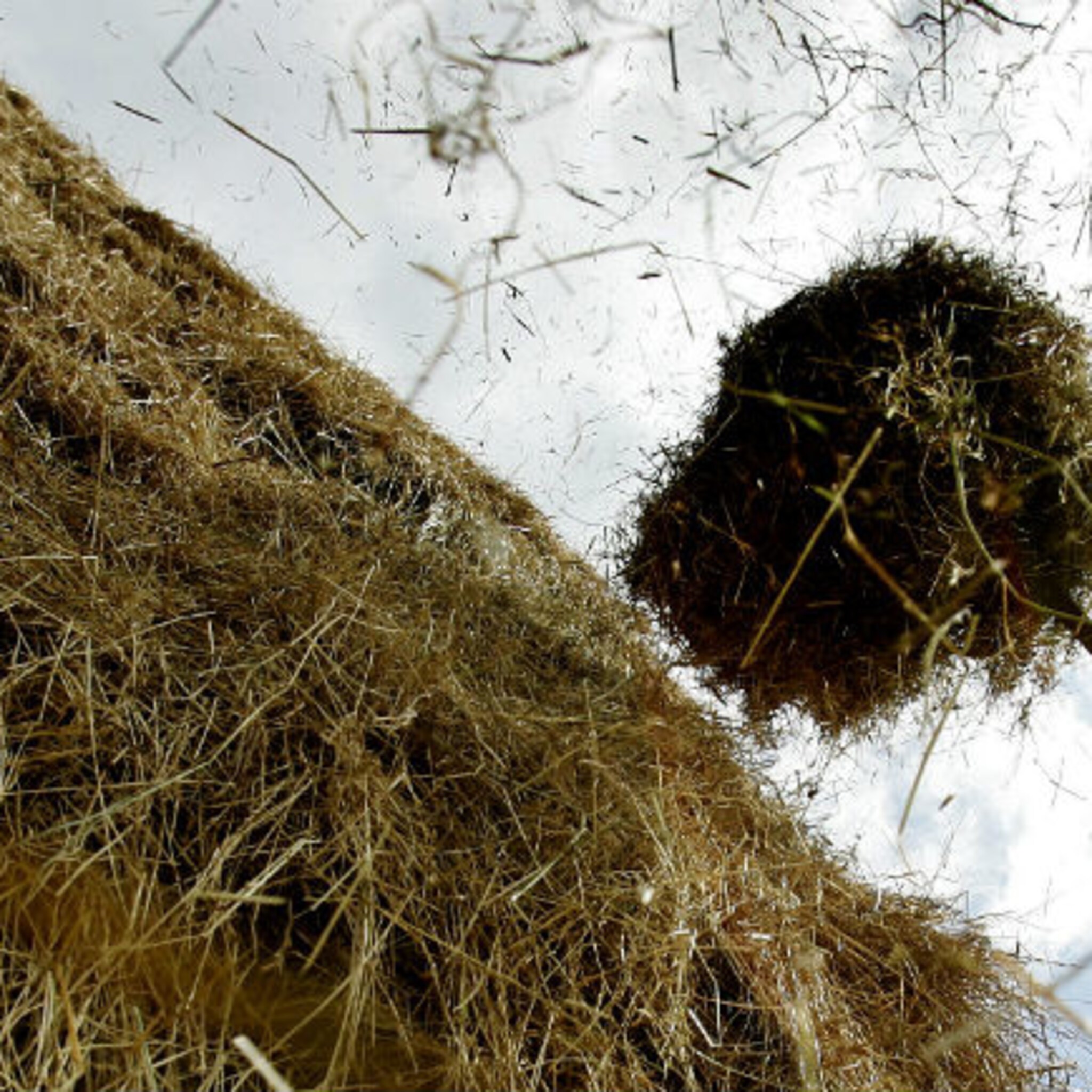 bijzonder hooitel in sint nicolaasga krijgt nieuwe eigenaren