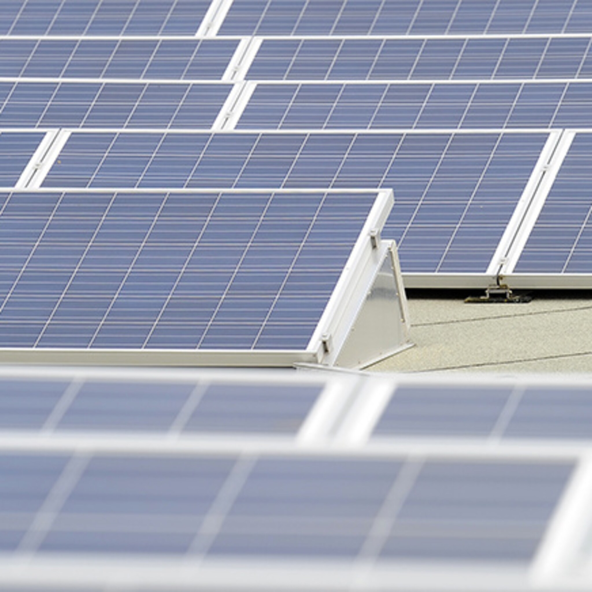 bredase bedrijven pakken subsidie voor zonne energie