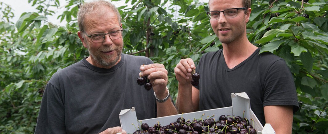 beeld deondernemer