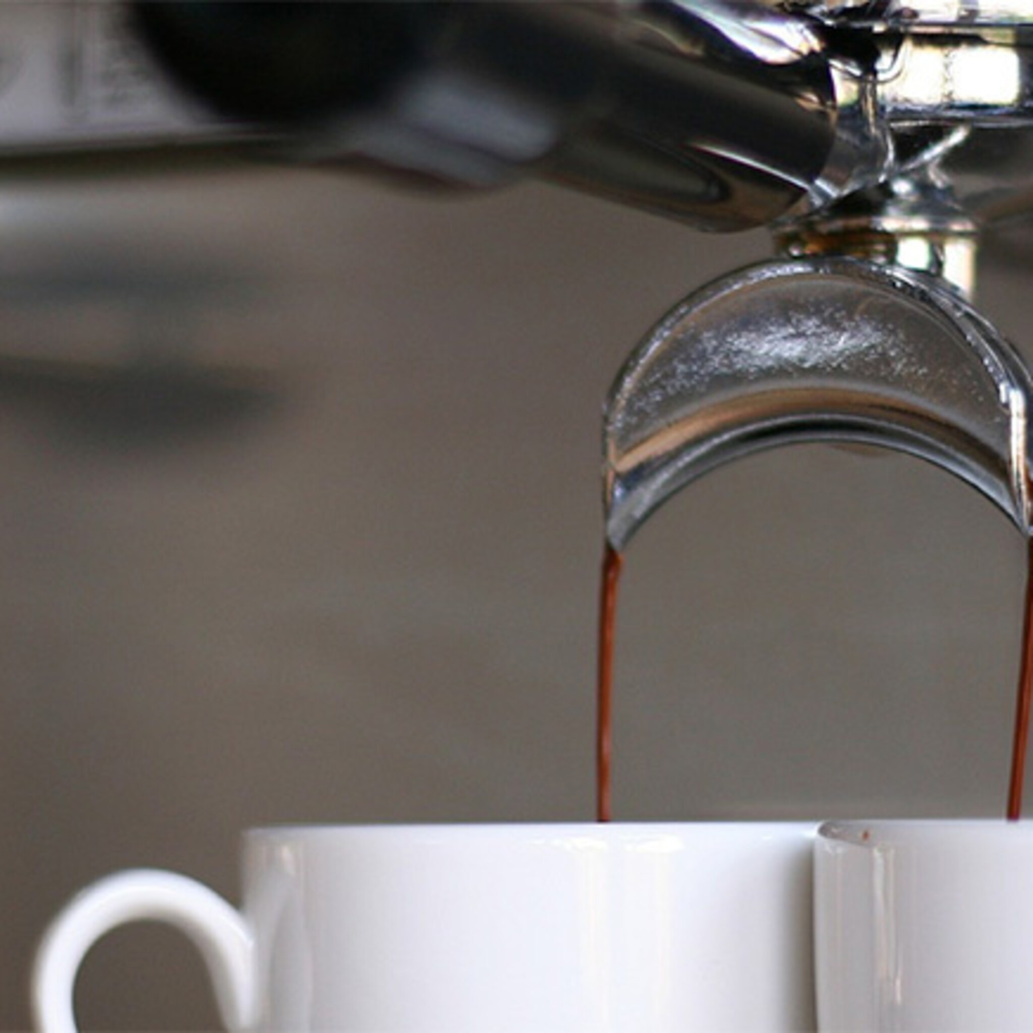 finalisten noord nederlandse barista kampioenschappen bekend