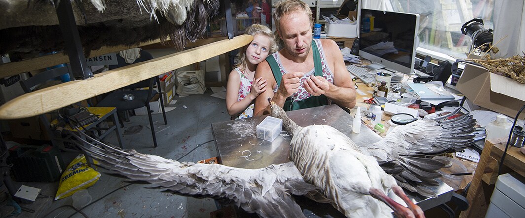beeld deondernemer