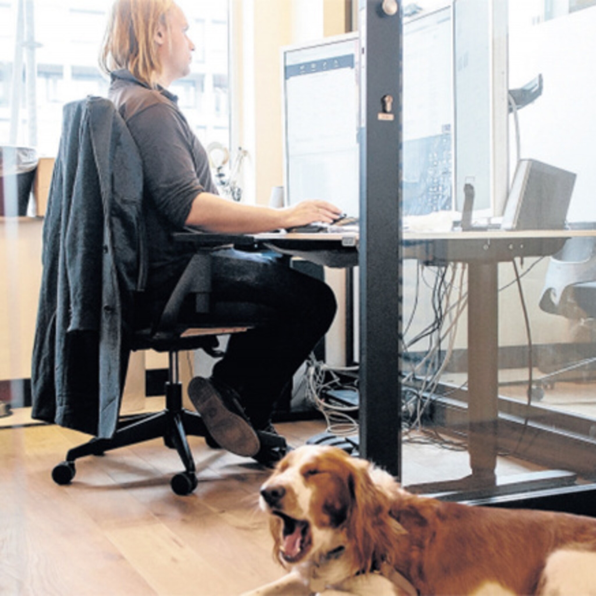 genomineerden voor beste werkgevers 2016 bekend