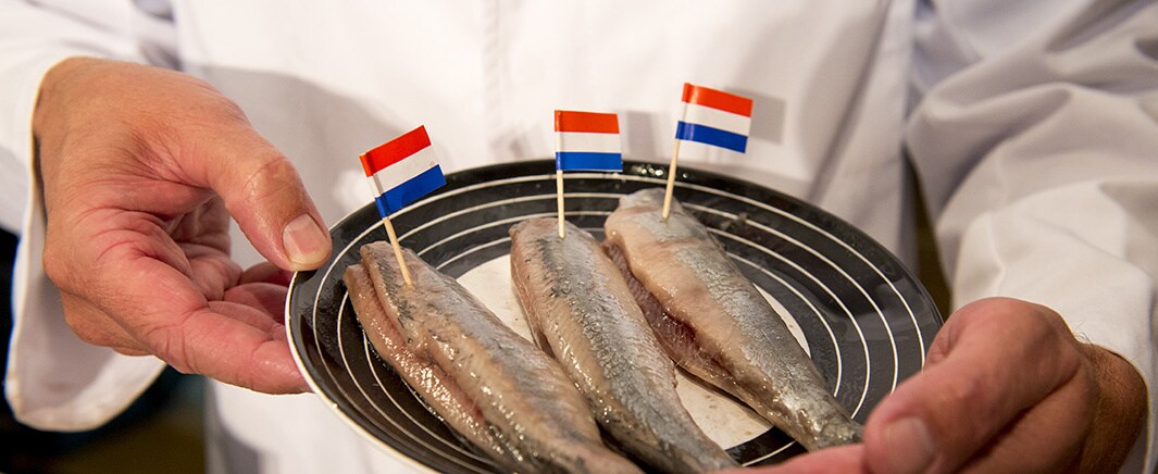 beeld deondernemer