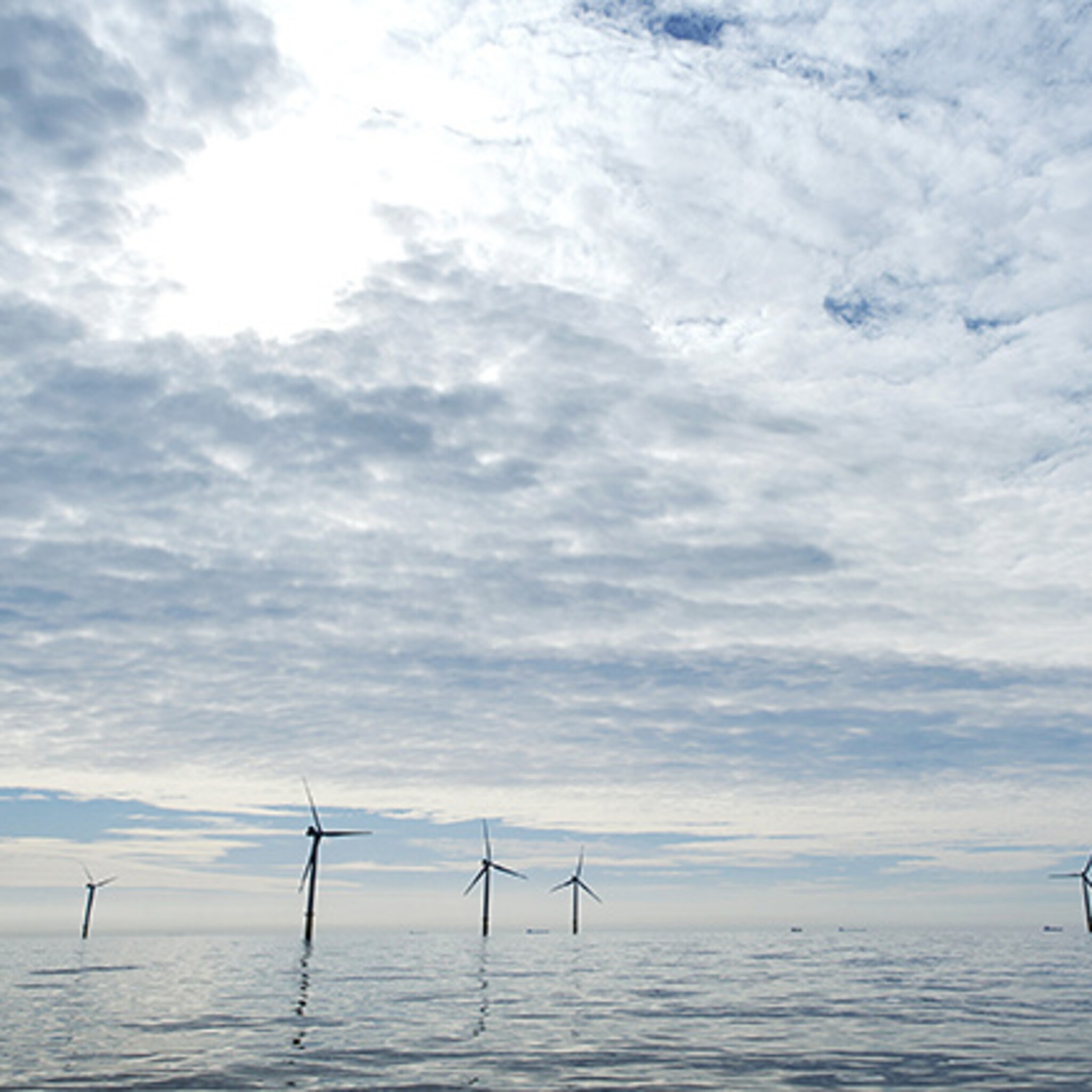 emmer windmolens gaan bedrijfsleven miljoenen opleveren
