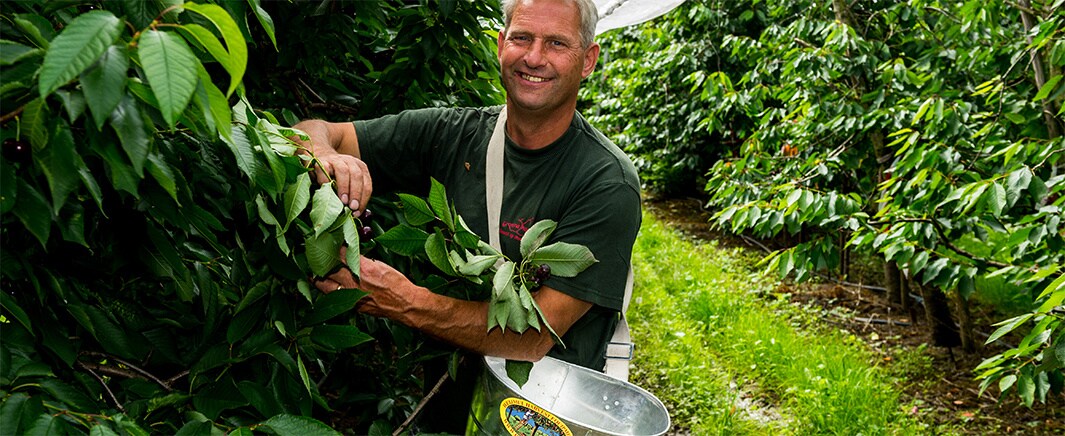 beeld deondernemer