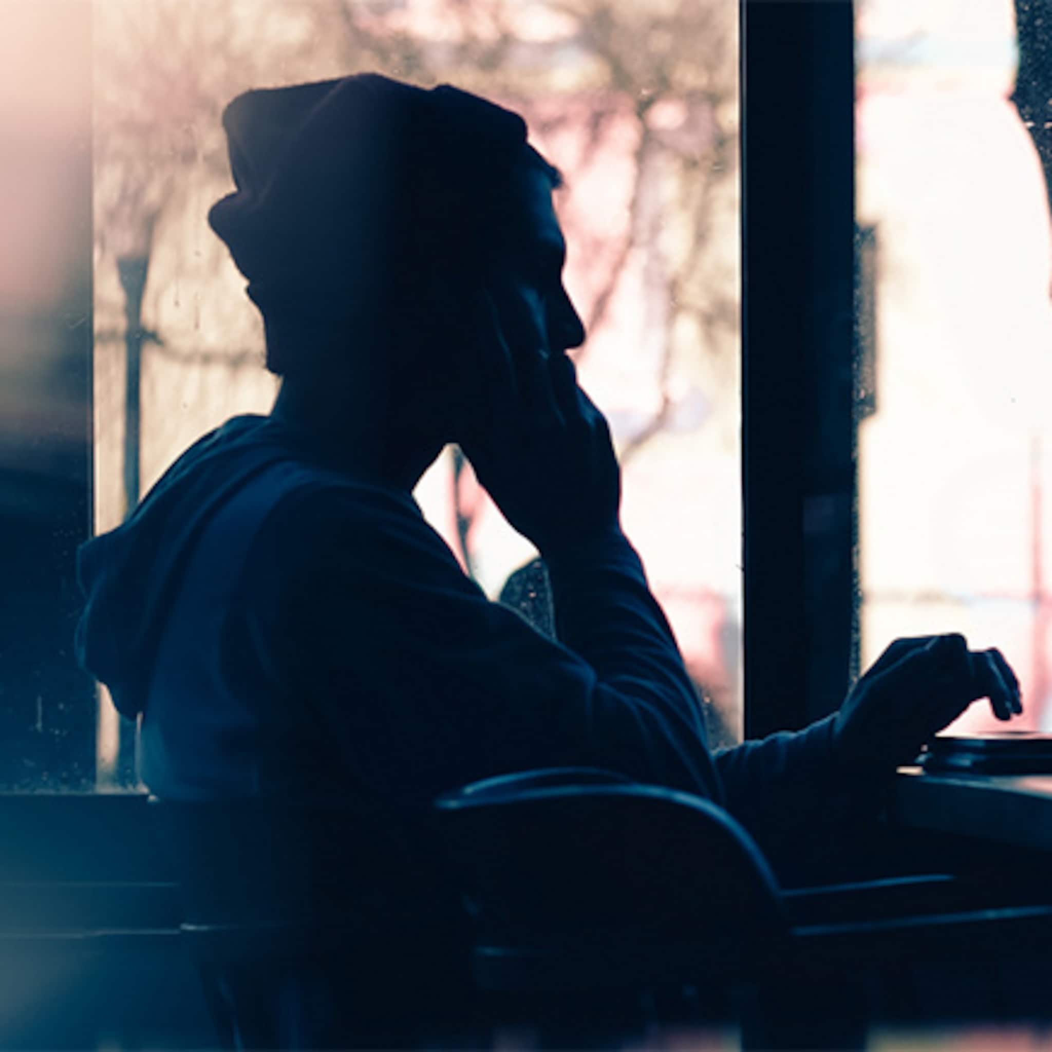 raad tholen geeft bedrijf skylinq geld voor snel internet in buitengebied