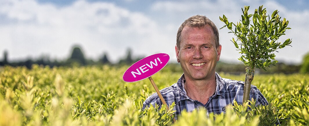 beeld deondernemer