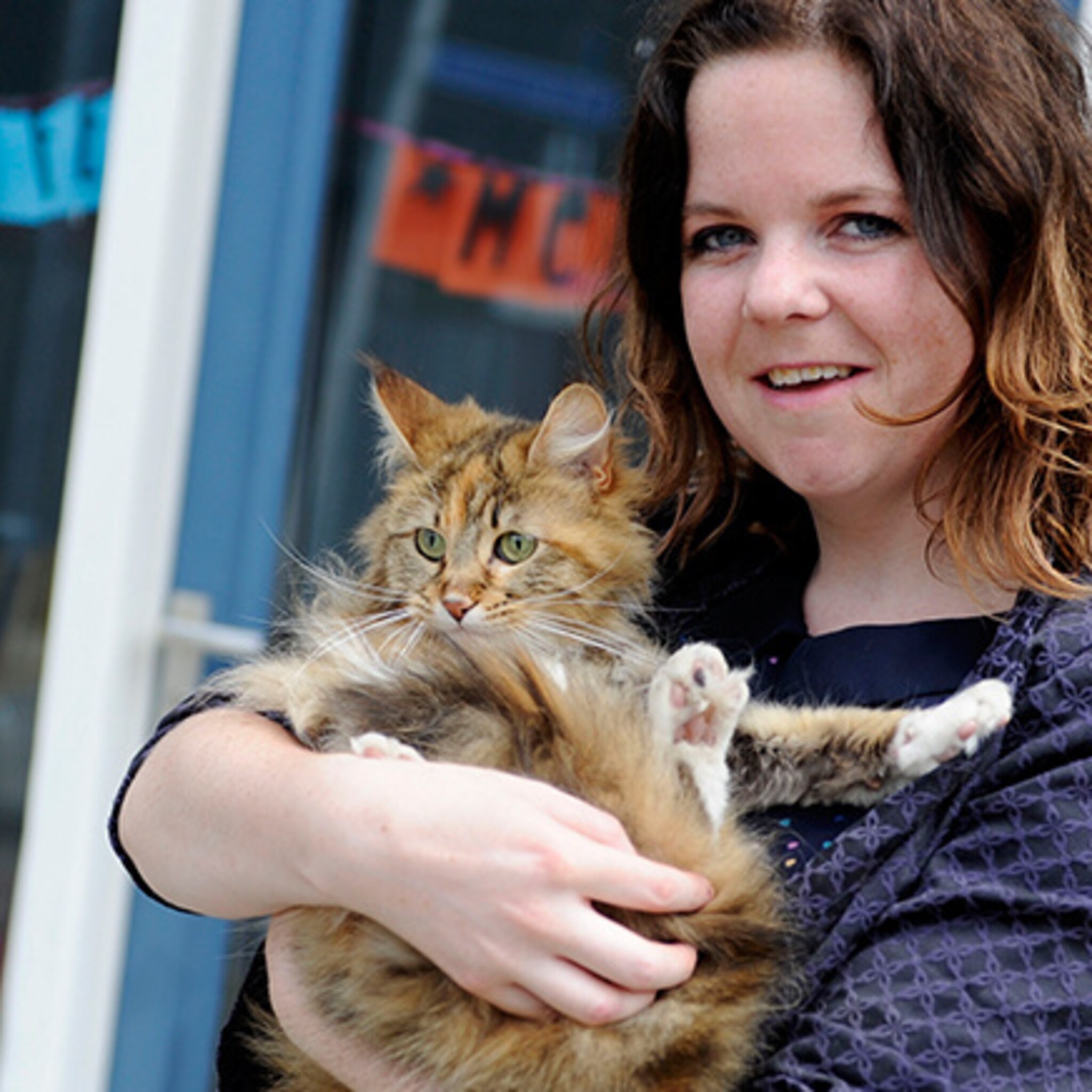 eerste kattencafe in regio twente