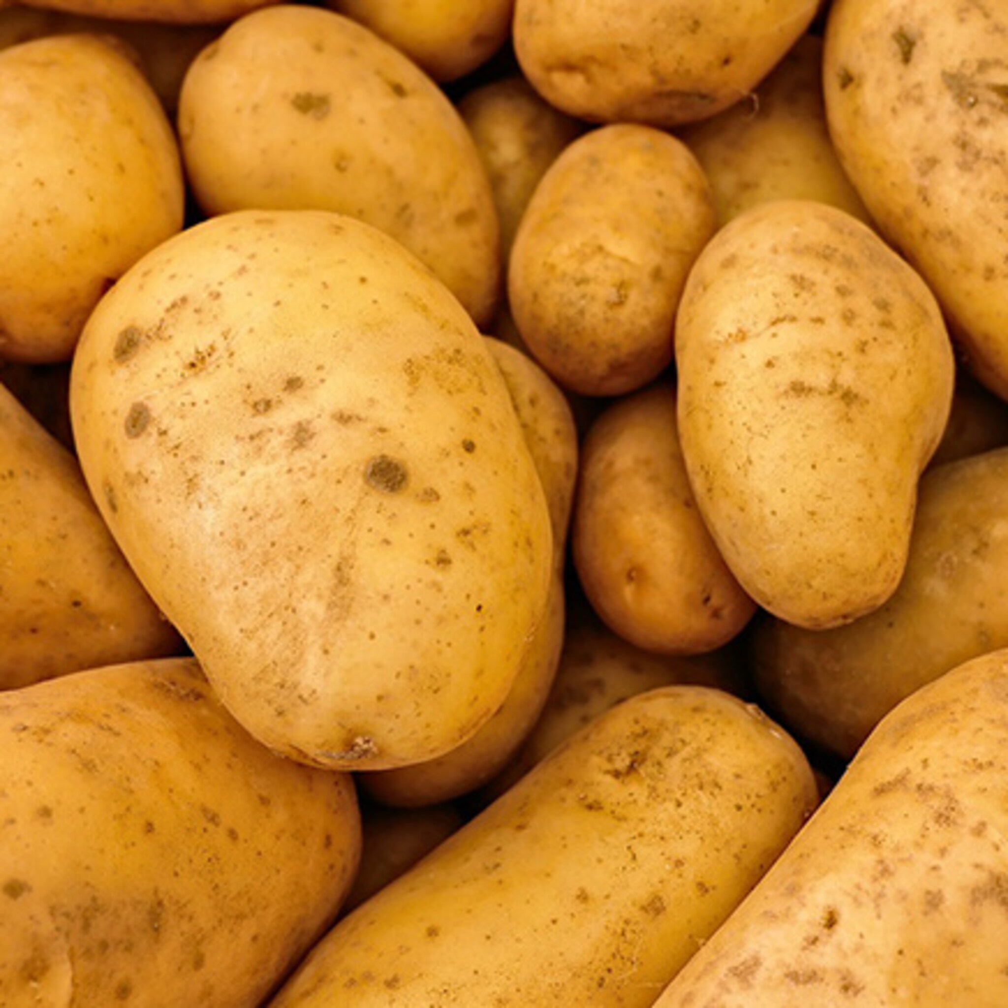 nieuwe eigenaar aardappelen kws emmeloord