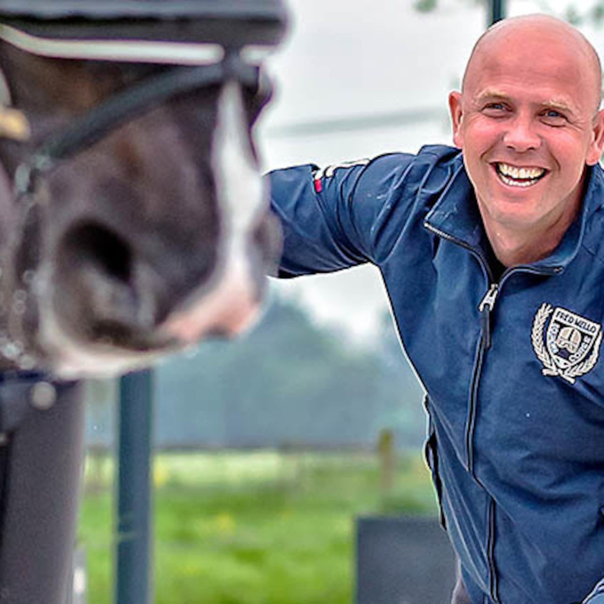 tenwolde horses verkoopt olympische paarden
