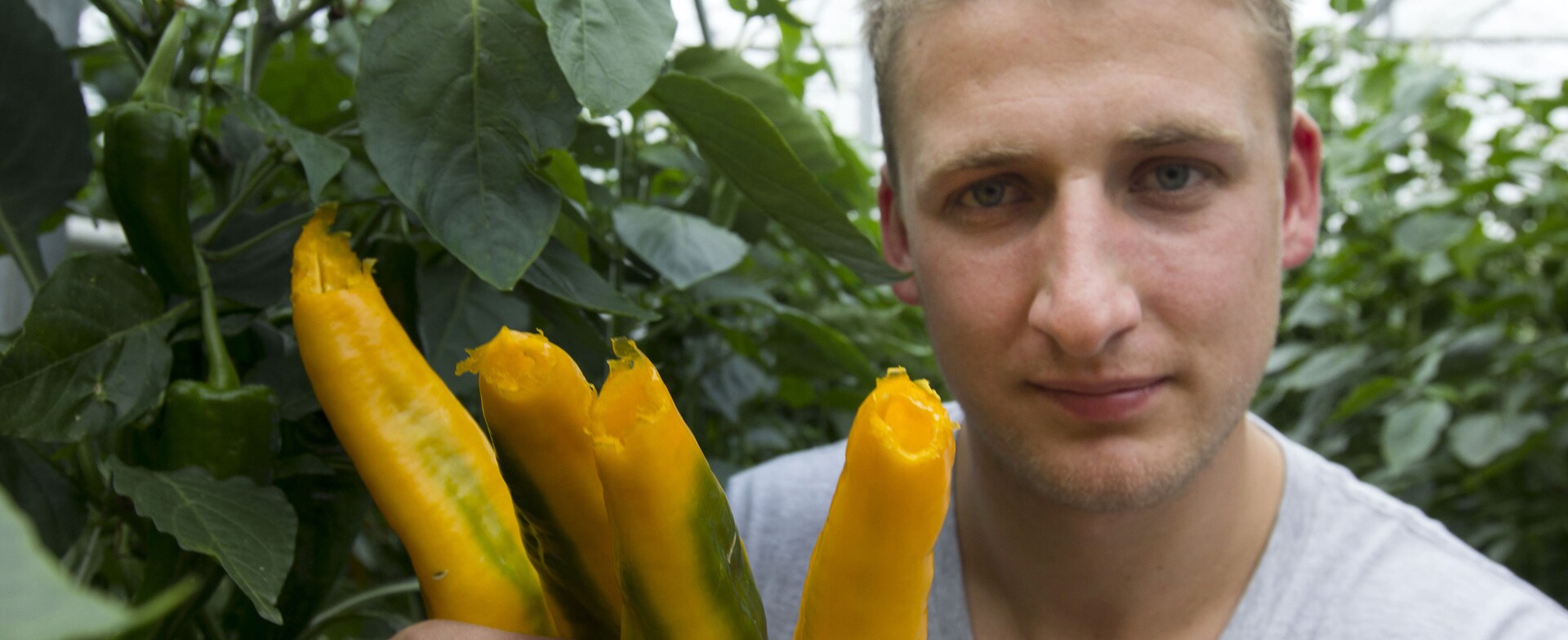 beeld deondernemer