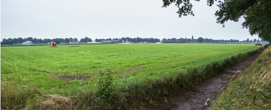 beeld deondernemer