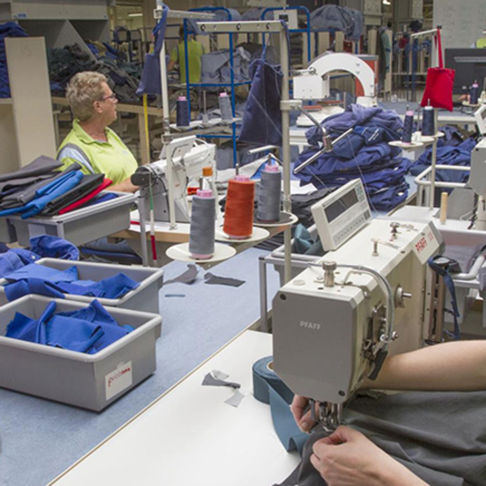 eigenzinnig lavans uit helmond trekt wereldwijd aandacht