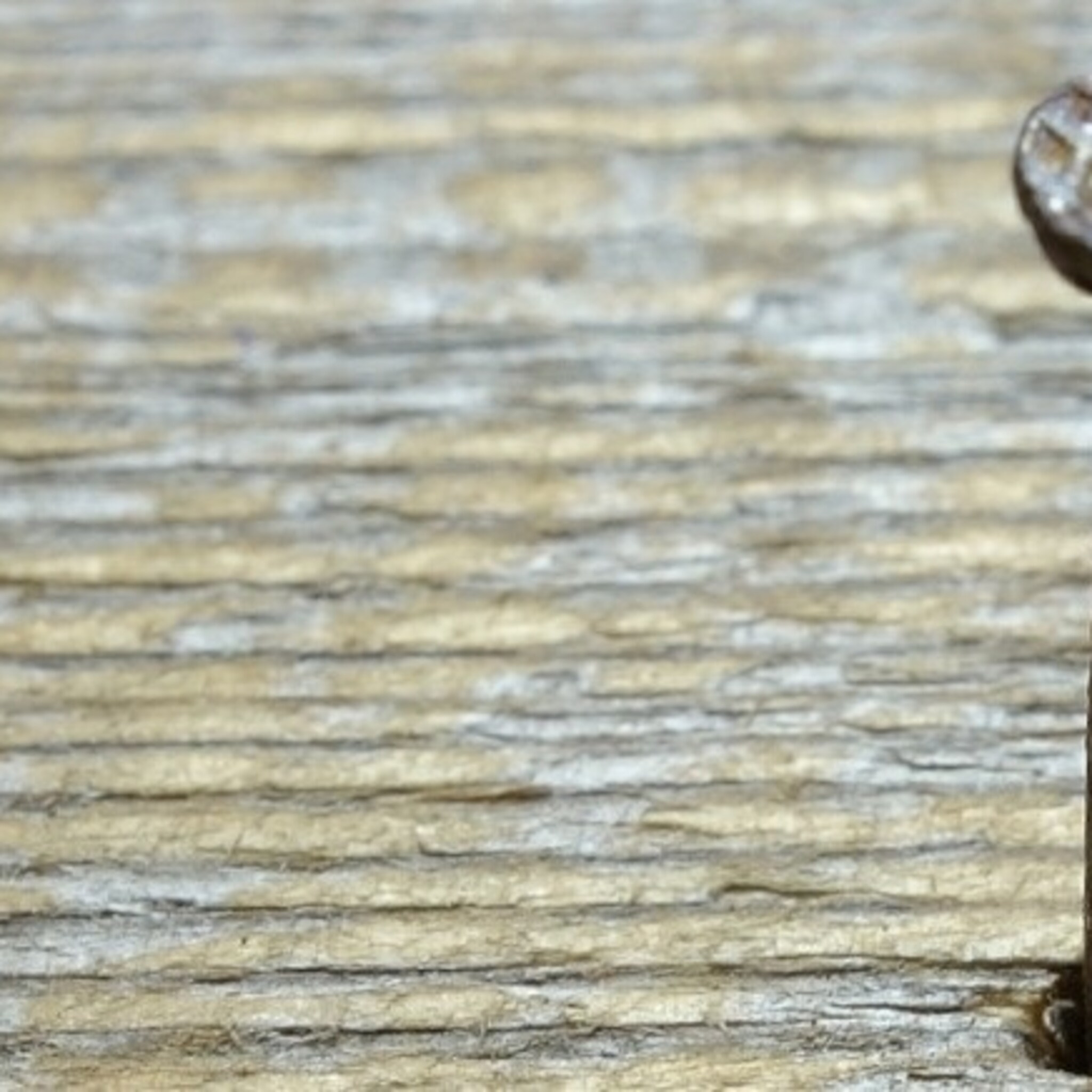 timmerfabriek oosterhoogebrug 1000 jaar