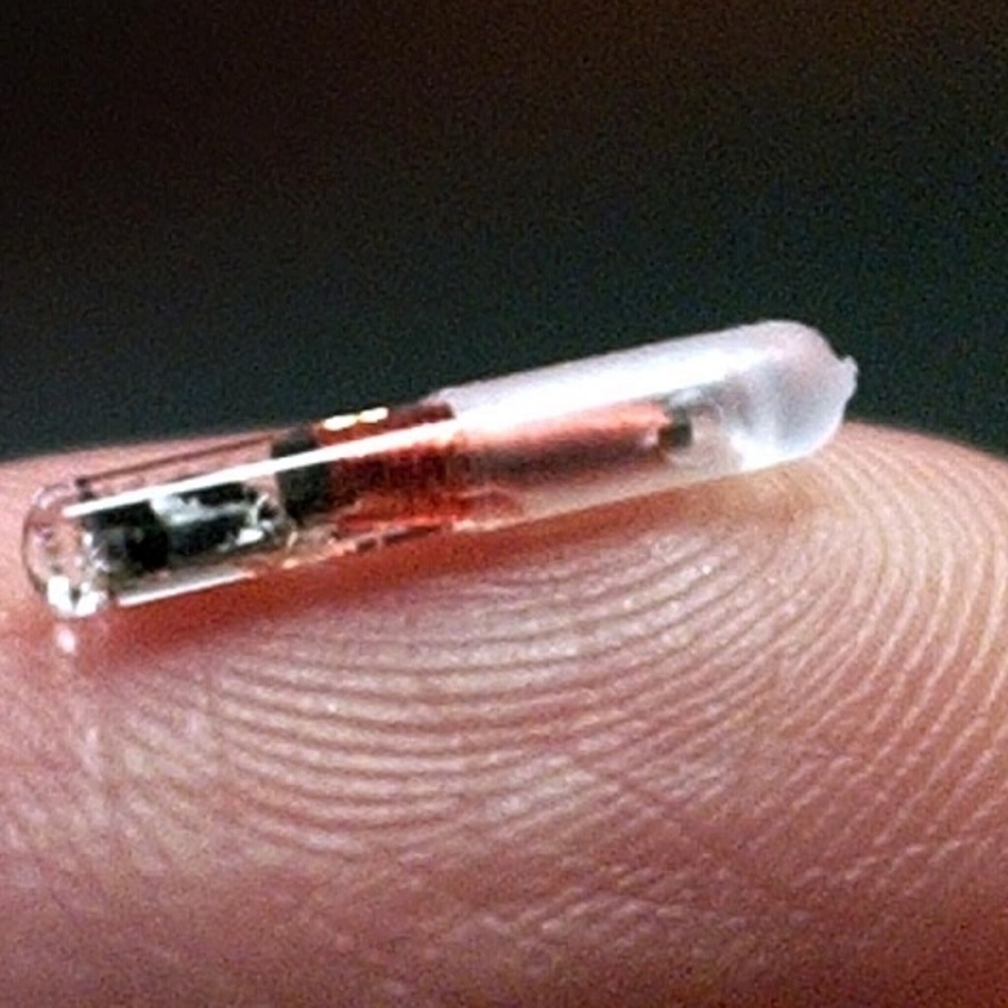 blogtop 5 implanteer een chip bij je werknemers