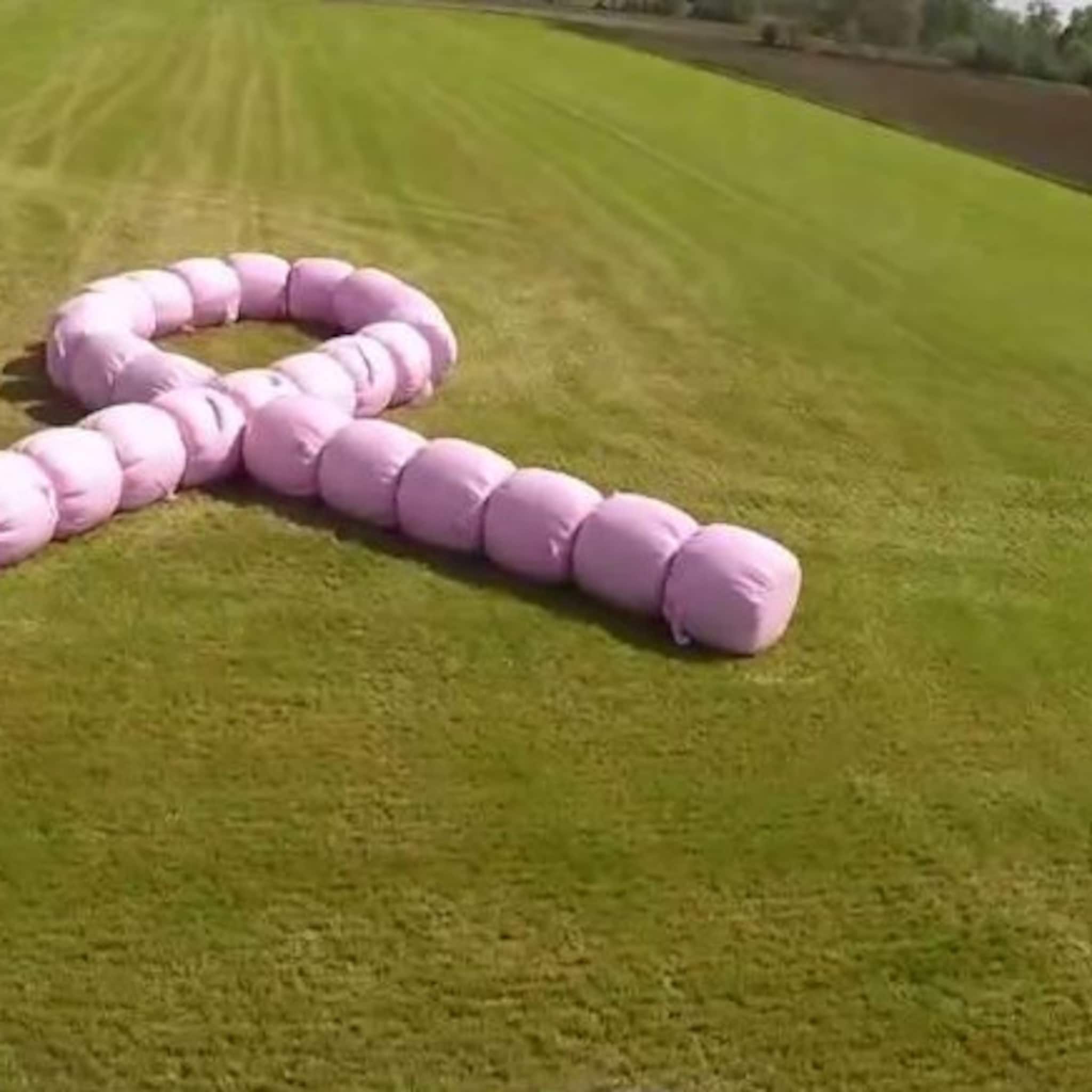 van den berg loonbedrijf uit foxwolde kleurt groningen roze