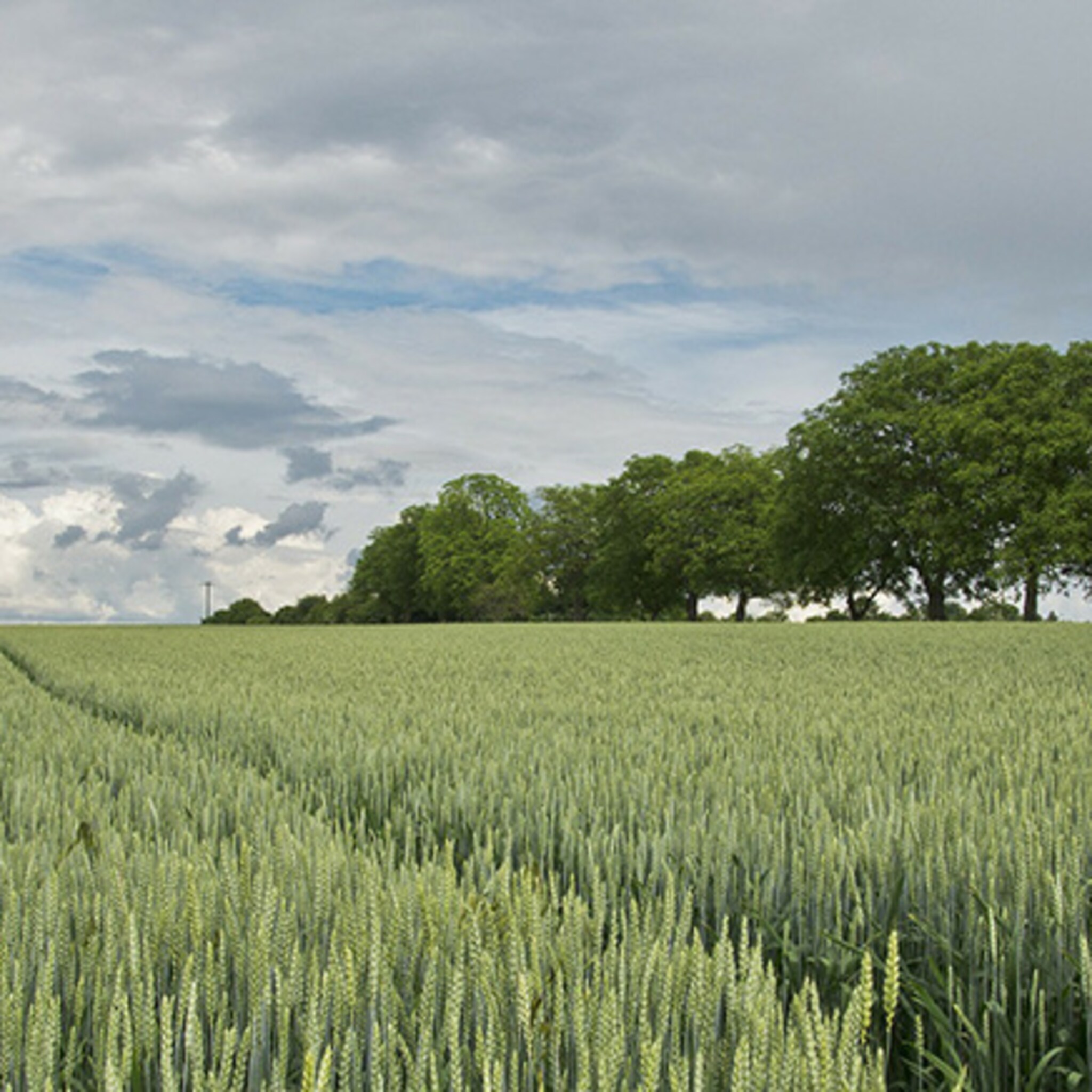 landbouwsector is nog altijd familiezaak
