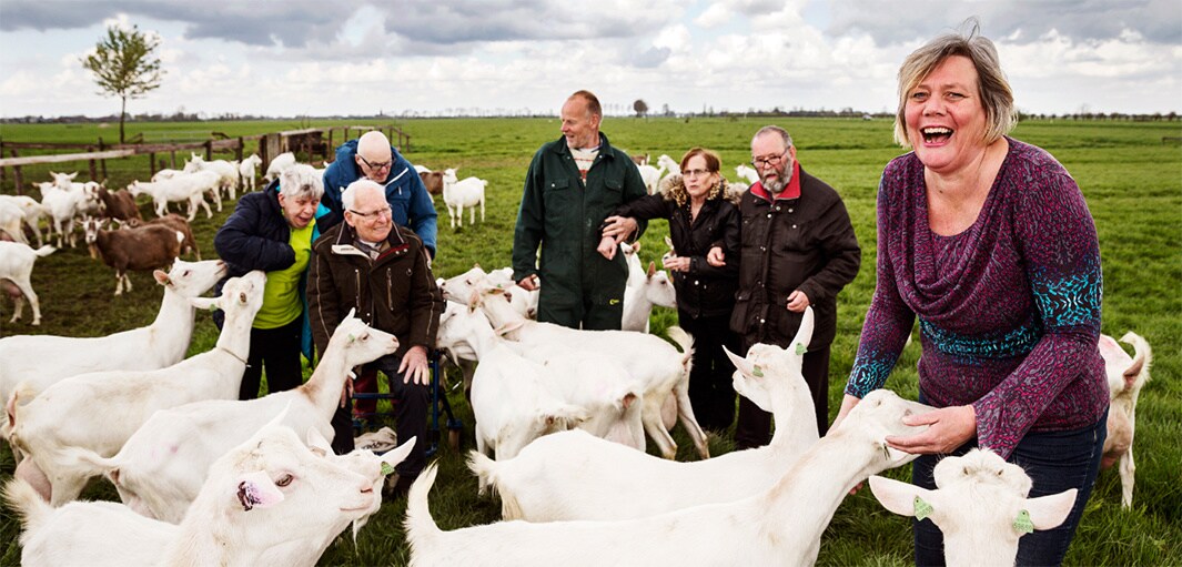 beeld deondernemer
