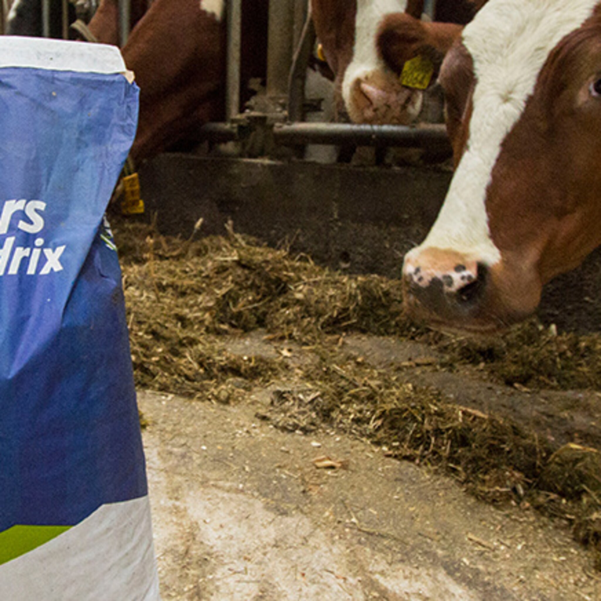leden forfarmers beslissen over beursgang