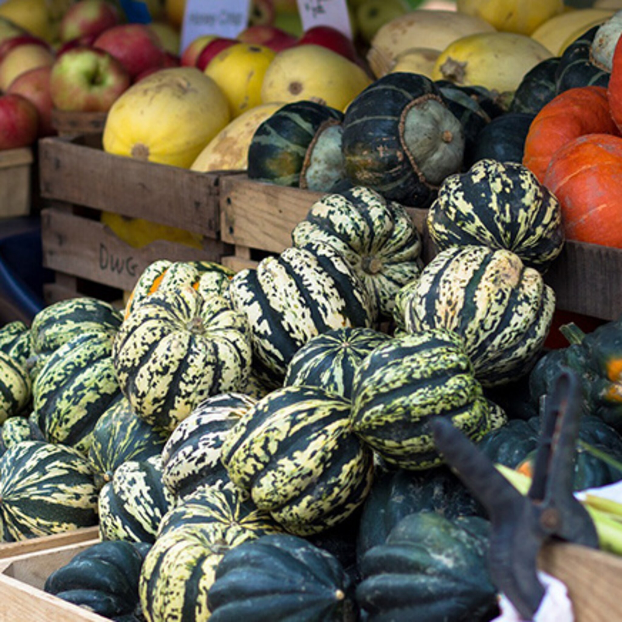 plek voor zzp ers op boerenmarkt losser