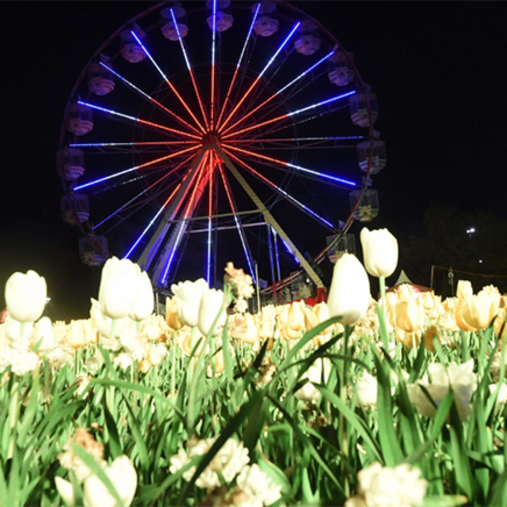 de floriade leeft in almere