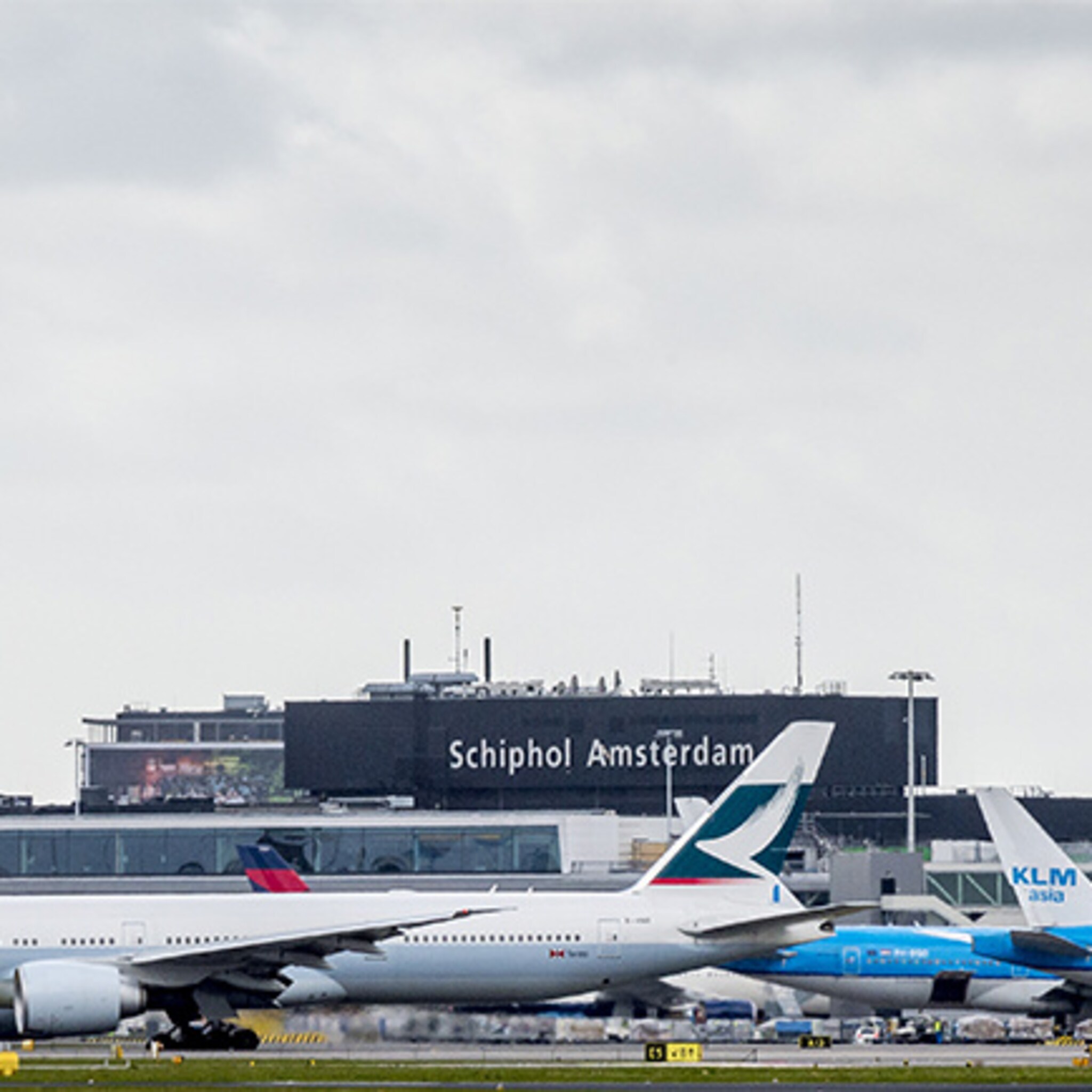 turkish airlines werft piloten op schiphol