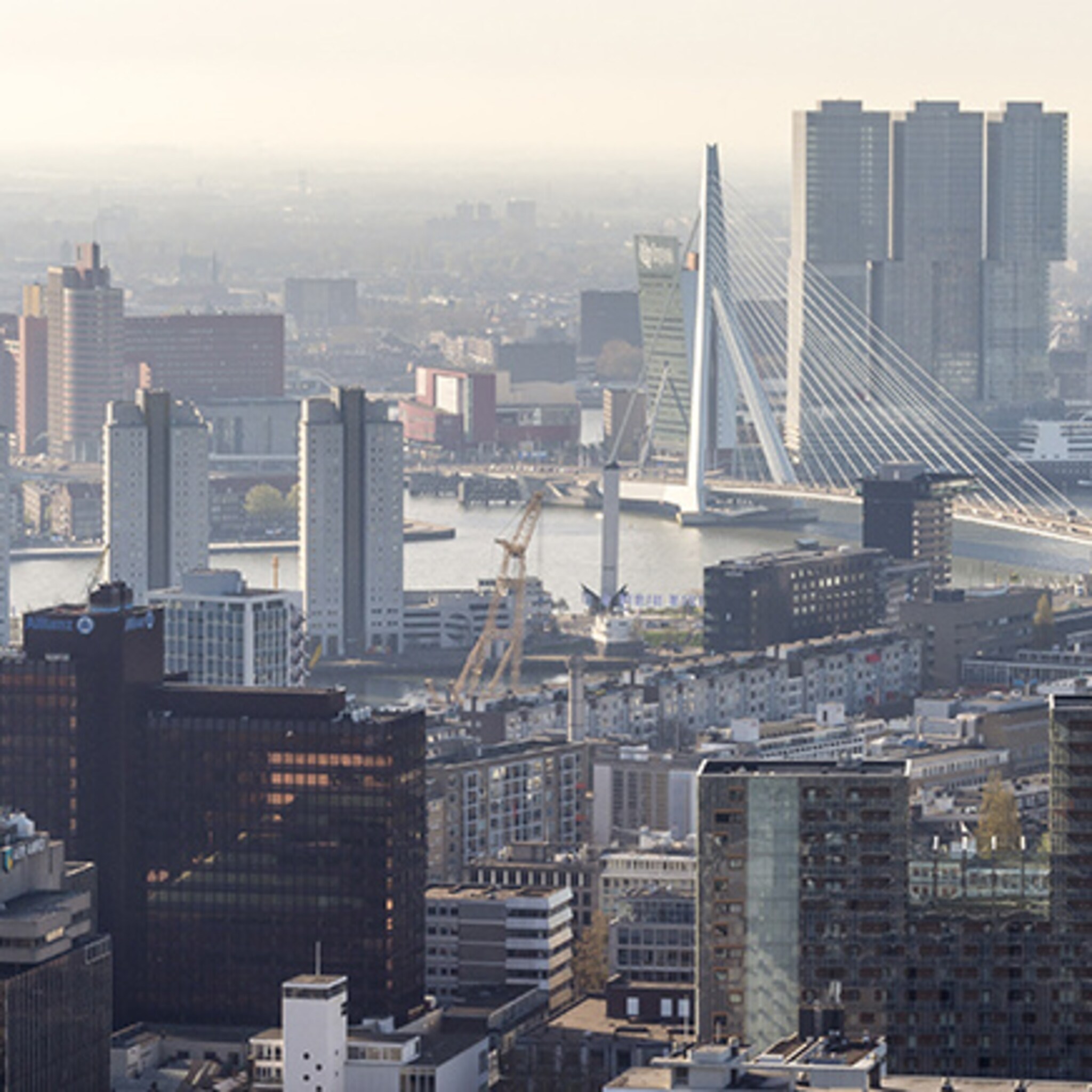 rotterdam heeft kater na schrappen wereldexpo