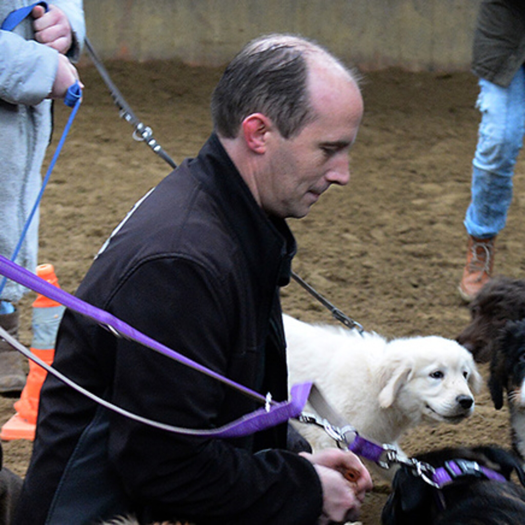 hondenschool fairydogs groeit dankzij mond tot mond reclame