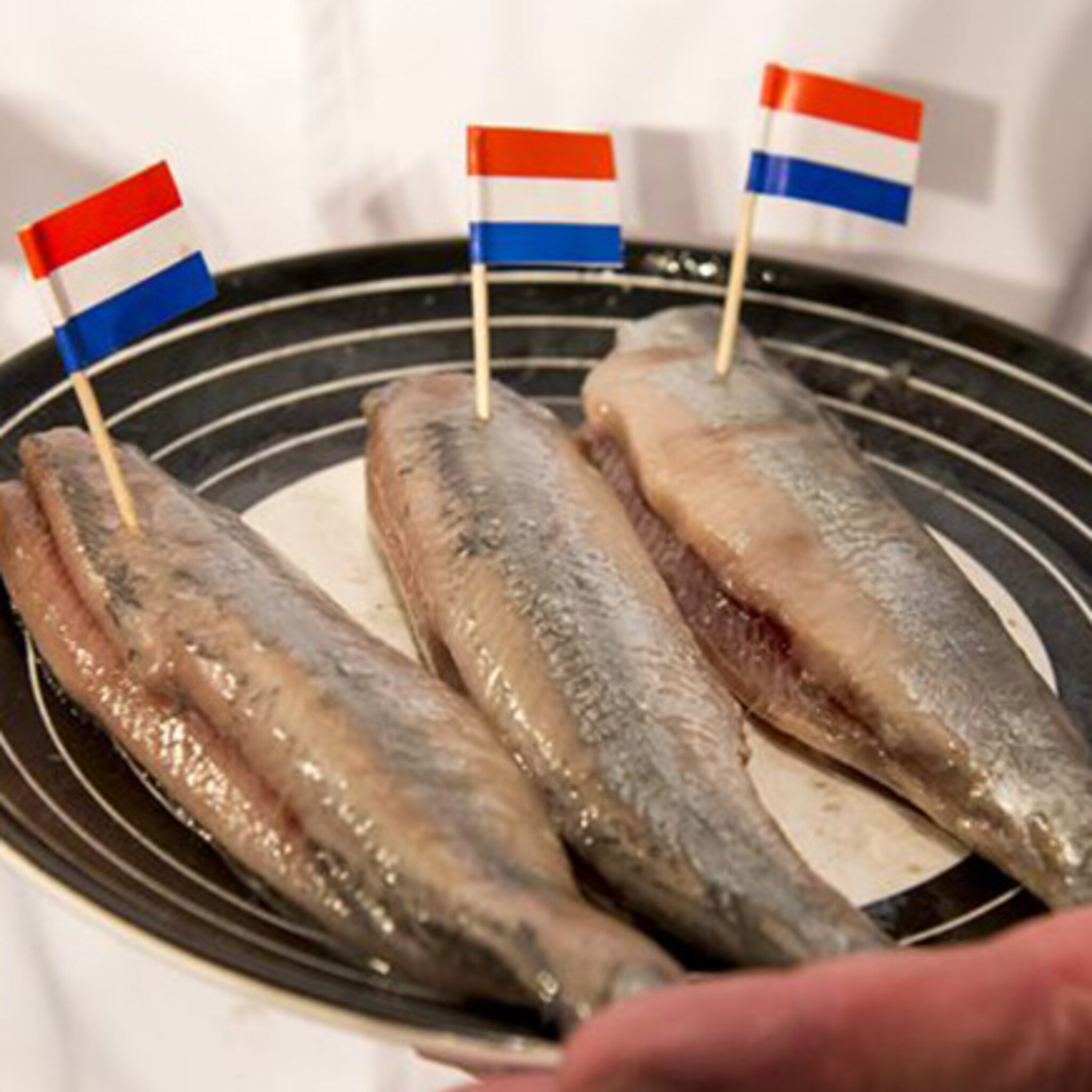 drie ondernemingen genomineerd voor zilveren haring