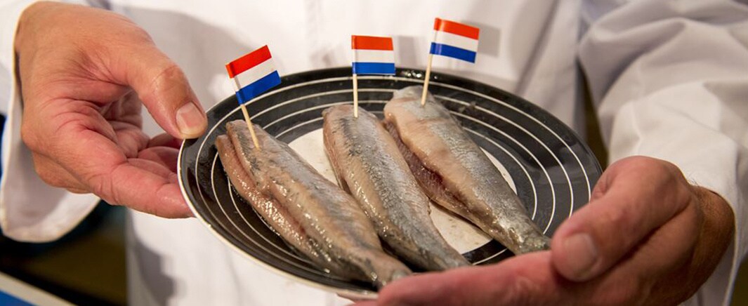 beeld deondernemer