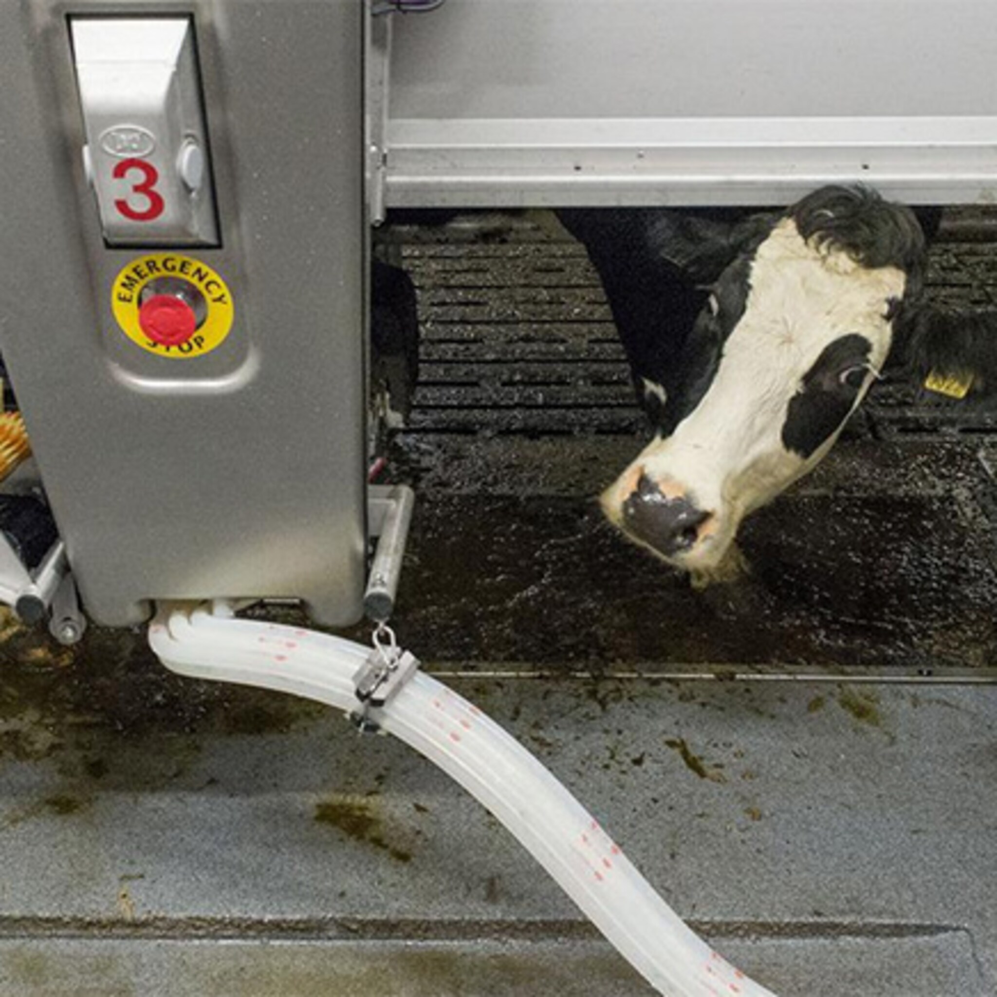 robot op de werkvloer maakt geen haast