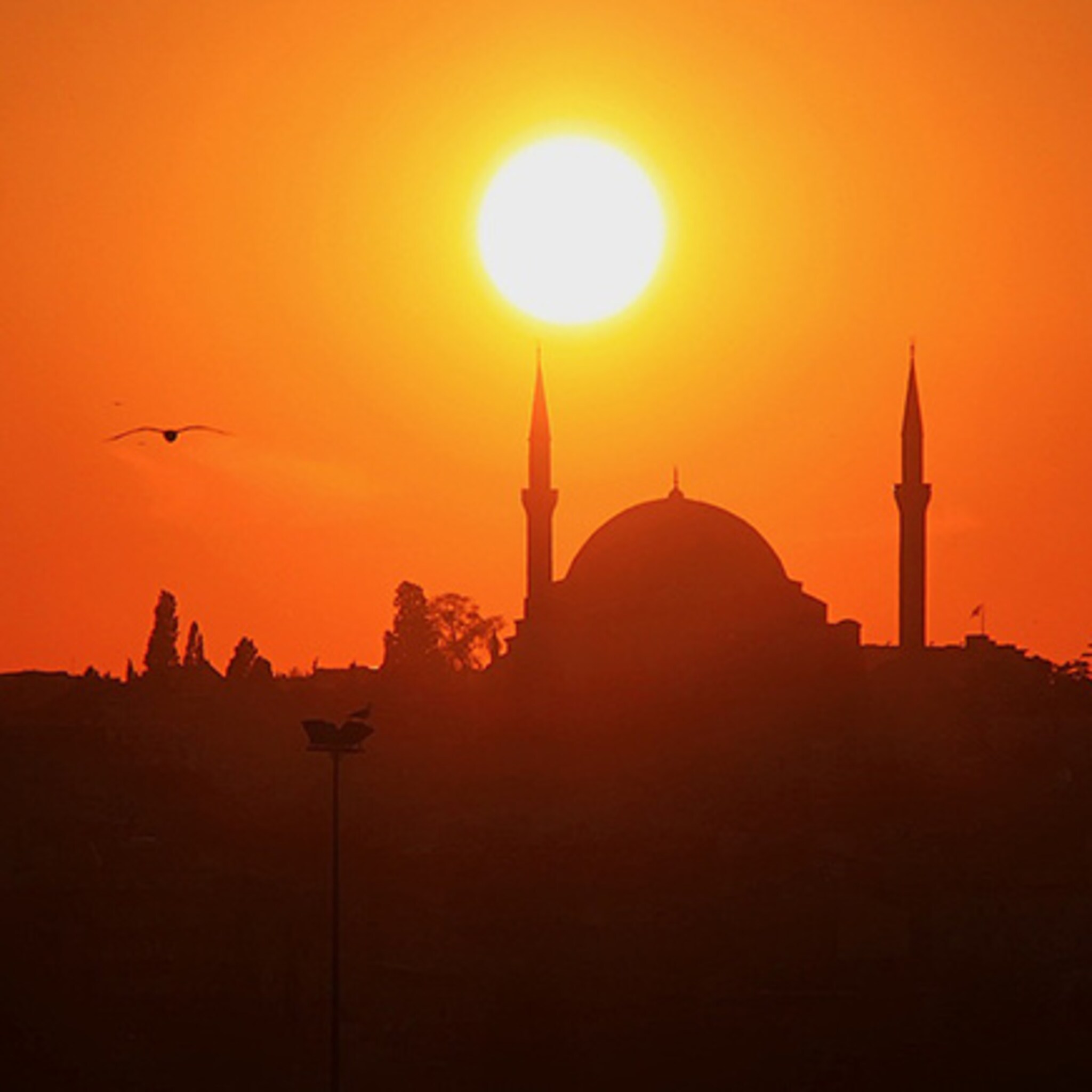 twentse bedrijven scoren in turkije