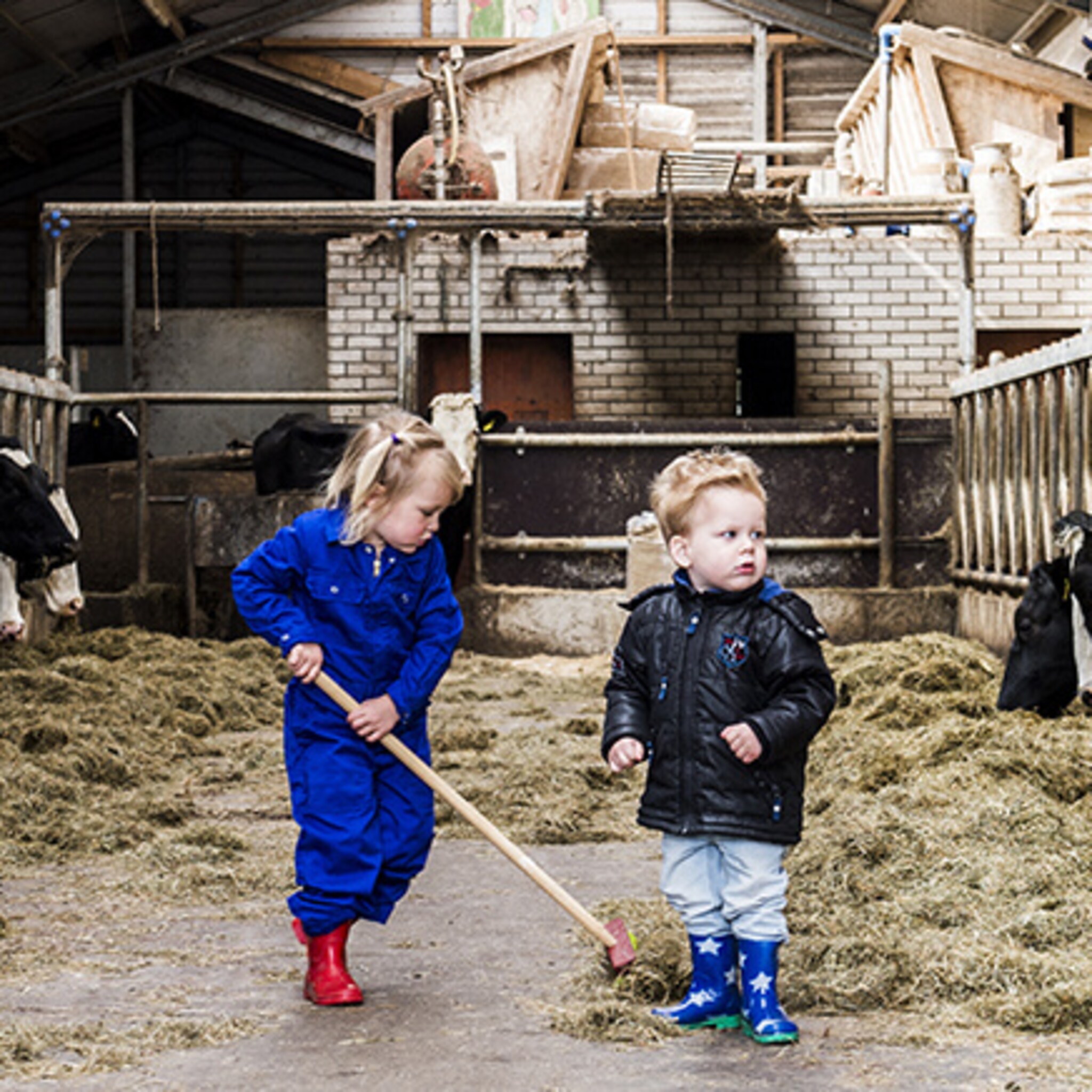 new business agrarische kinderopvang