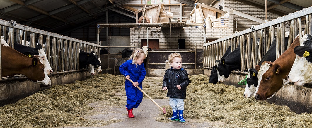 beeld deondernemer