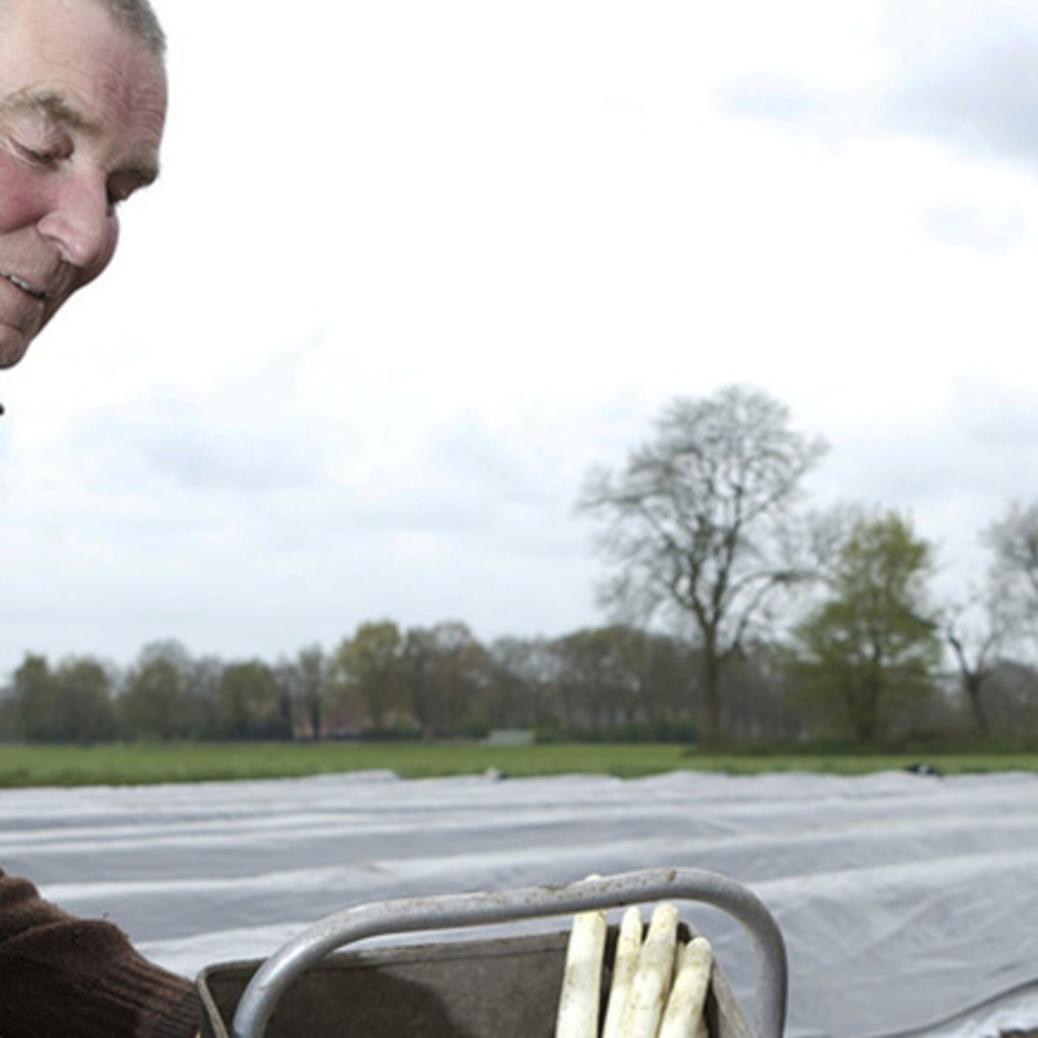 sallandse asperges voor maxima