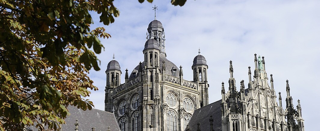 beeld deondernemer