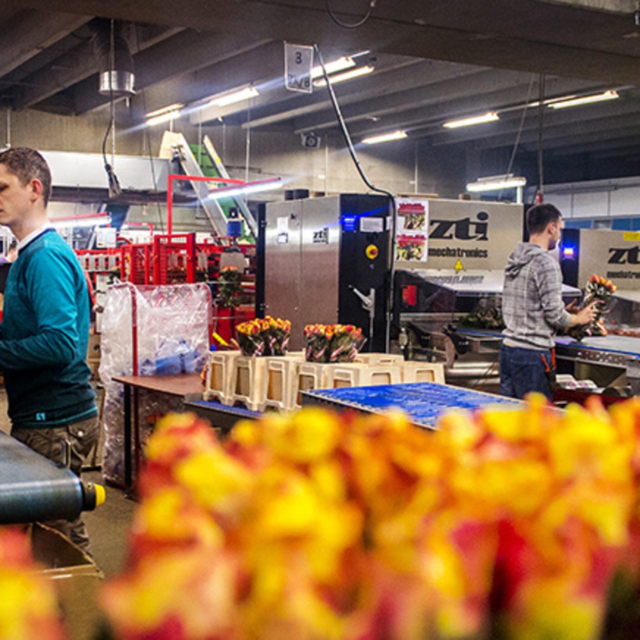 export bloemen stijgt naar recordhoogte