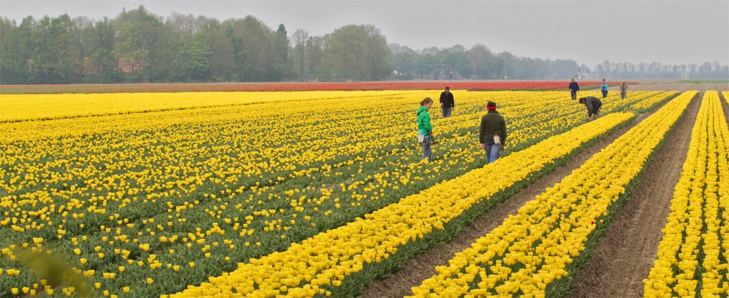 beeld deondernemer
