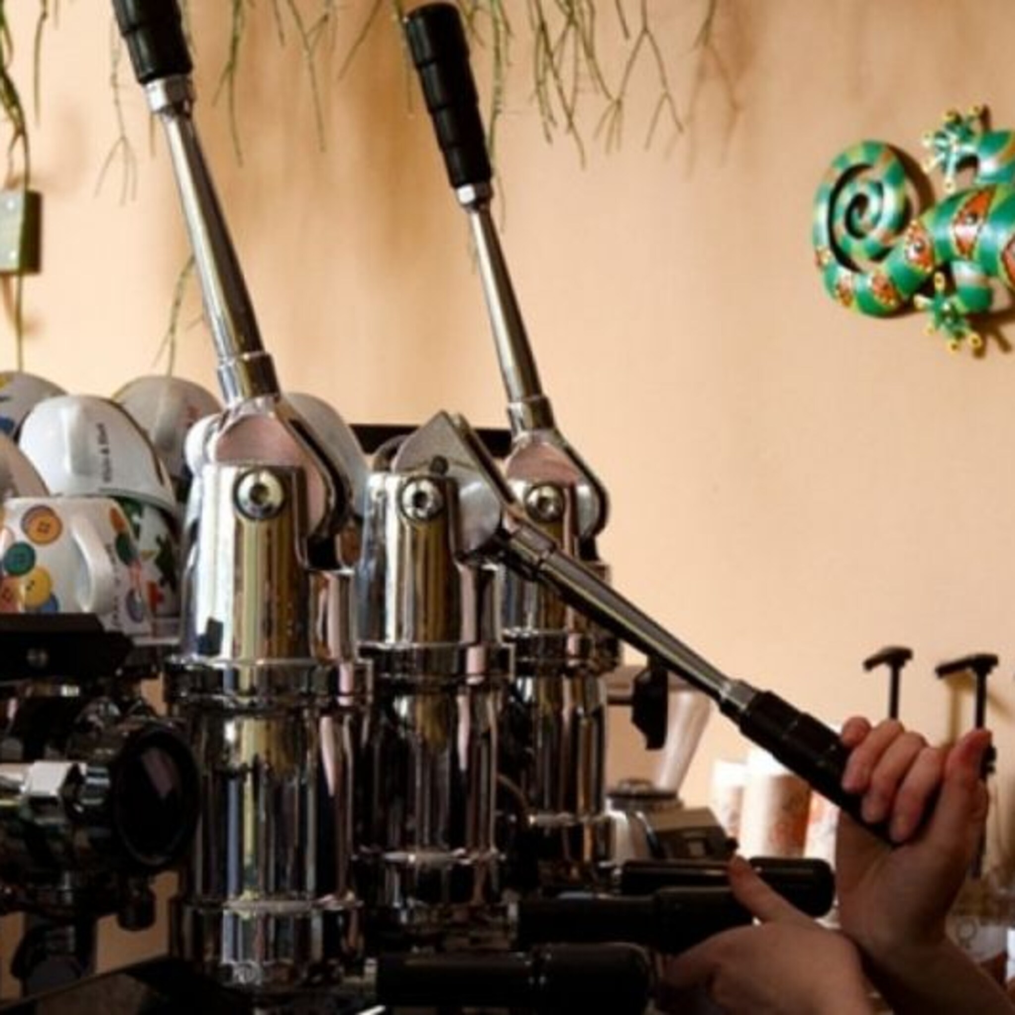 deventerse in finale barista challenge