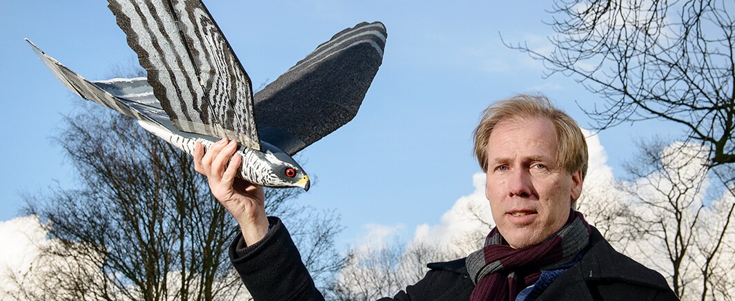 beeld deondernemer