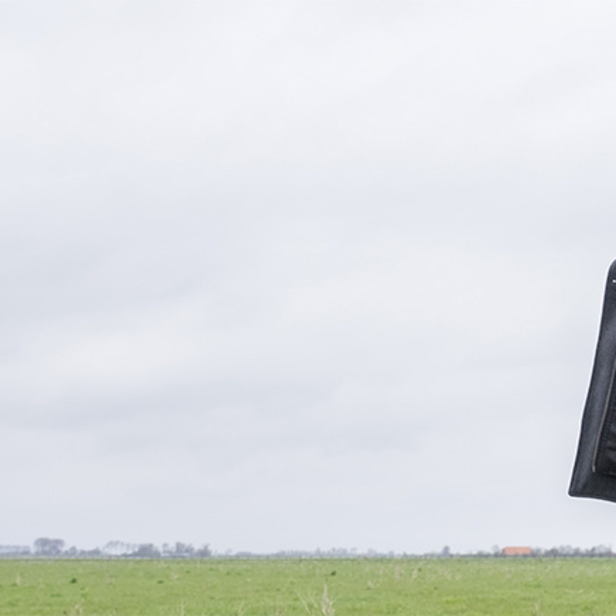 boer gooit het roer om biokoeien op kruidendieet