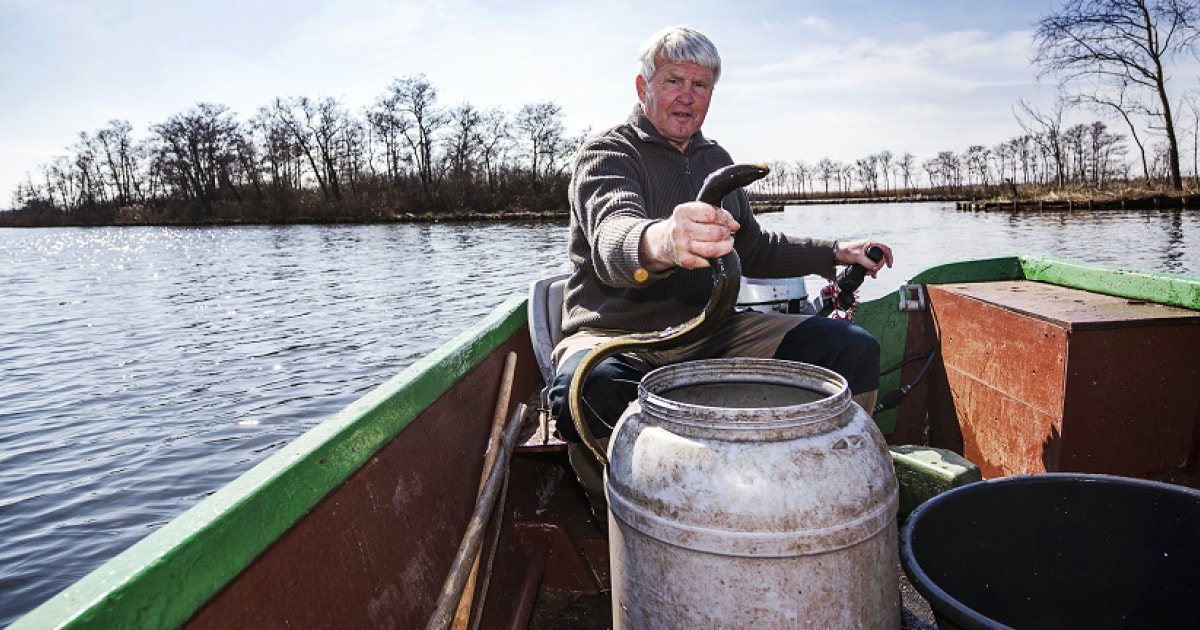 beeld deondernemer